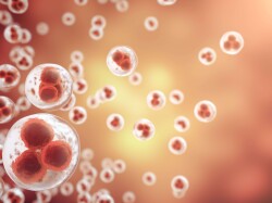 Exosome
