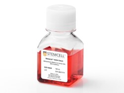 Xét Nghiệm Nuôi Cấy Cụm Tế Bào (CFU Assay)